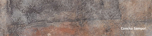 Exposição Concha Sampol