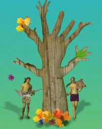 Outonalidades 2009